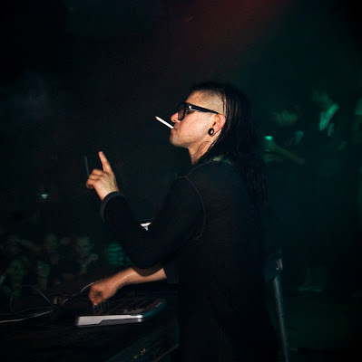 Skrillex, Haters gonna hate