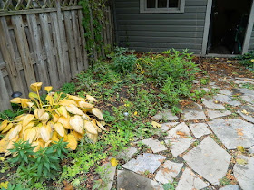 Leslieville Toronto Fall Cleanup Before by Paul Jung Gardening Services--a Toronto Gardening Services Company