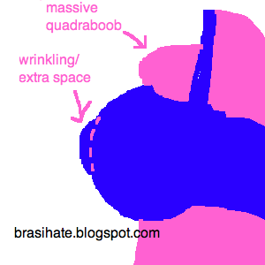 Bras I Hate & Love: Clarifying Breast Shape: Full-on-top VS Full