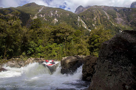 Gonzo looking and feeling small in the Arthur River Valley, NZ, whereisbaer
