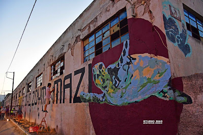 Αργολίδα: Εντυπωσιακό γκράφιτι για την προστασία του υδροβιότοπου Ναυπλίου - Ν. Κίου (βίντεο)