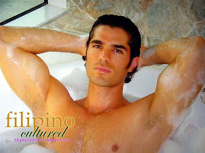 thalia wallpaper. Verastegui Wallpaper