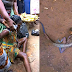 See Woman who gave birth to Lizard after 2 years of Prenancy