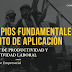 PRINCIPIOS FUNDAMENTALES Y ÁMBITO DE APLICACIÓN DE LA LEY DE PRODUCTIVIDAD Y COMPETITIVIDAD LABORAL