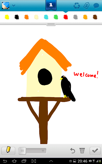 Bird House Drawings