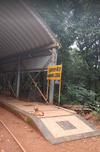 Aman Lodge Station of Toy Train En route while walking