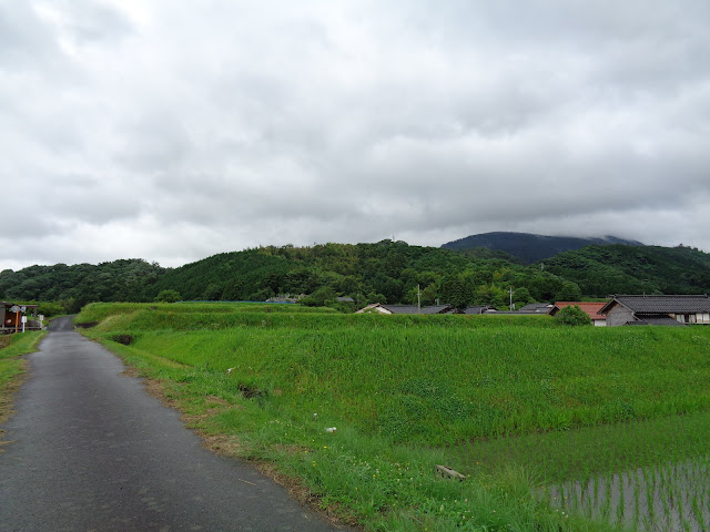 米子市淀江町福岡の田園地帯