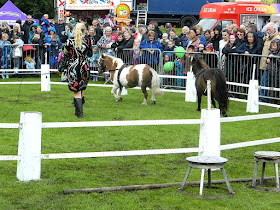 Leopold Equestrian Productions