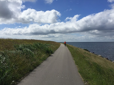 Bike ride around Amager Island.