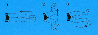 Image of Breaststroke Kick Viewed From Above: 1. straight legs; 2. open knees point toes away from each other; 3. bring legs together