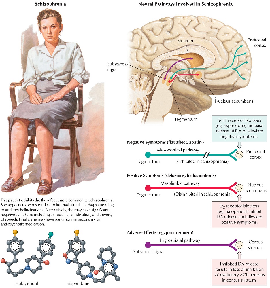 Psychosis and Dopamine Pathways