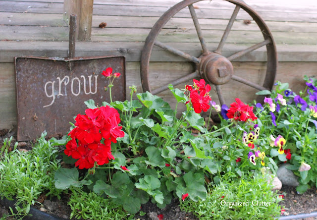 Photo of a rusty shovel and wheel in a geranium and pansy bed along the deck.