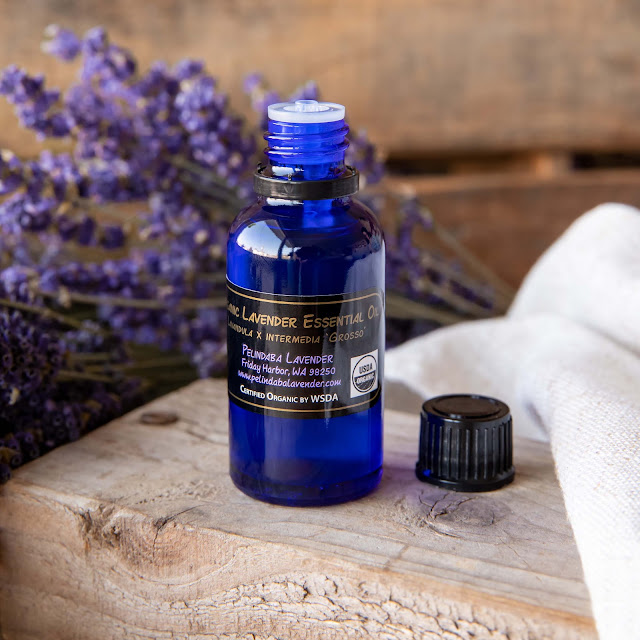 Pelindaba Lavender - Lavender Essential Oil Conditioner