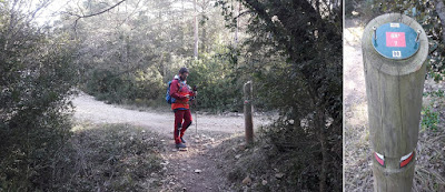 GR-7 MONT-RAL A LA RIBA, sender al bosc de Torrell a Mont-ral i camí de de Cabrera