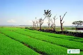 প্রাকৃতিক দৃশ্য বাংলাদেশ - প্রাকৃতিক দৃশ্য ছবি ডাউনলোড - অপূর্ব সুন্দর প্রাকৃতিক দৃশ্যের ছবি - Natural Picture - NeotericIT.com - Image no 5