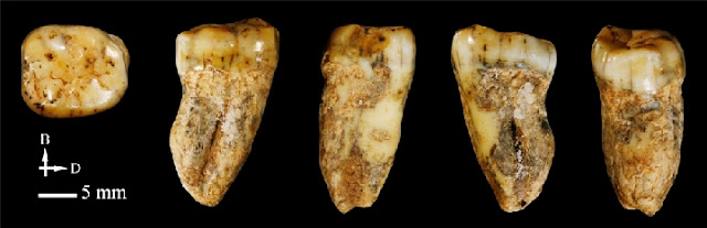 Chinese researchers discover 300,000-year-old human fossils