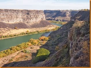 PA209117