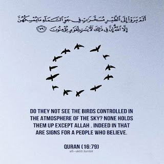 Beautiful Islamic Quran Quote