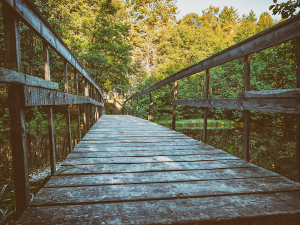 Деревянный мост через речку