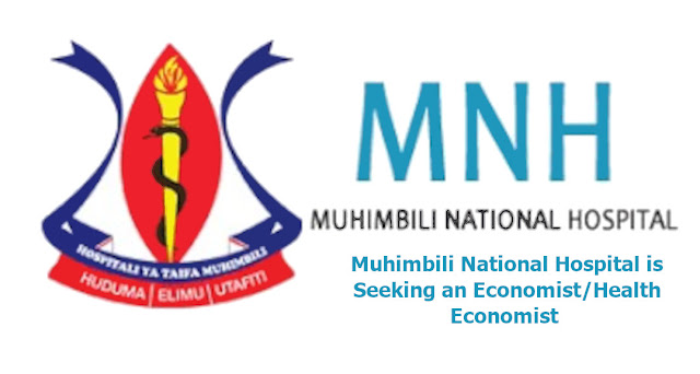 Muhimbili National Hospital is Seeking an Economist/Health Economist
