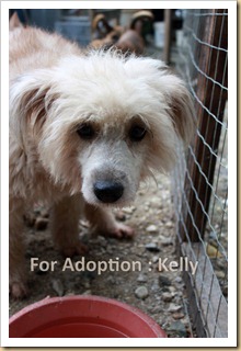 Kelly