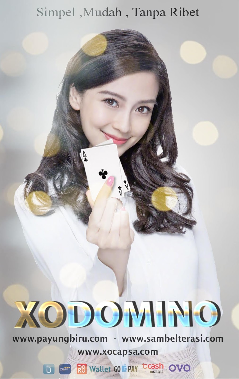 Login XODomino