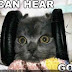 funny headphone