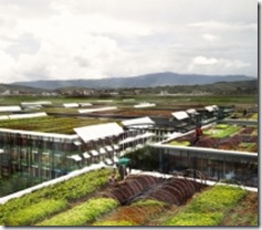 mcdon rooftop farming