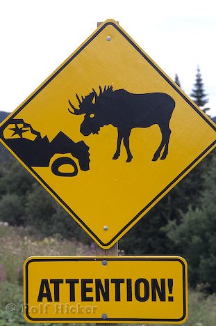 Strange Traffic Signs