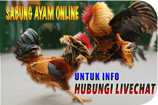 Jagadpoker.com Agen Judi Bandar Poker Domino Online Terpercaya