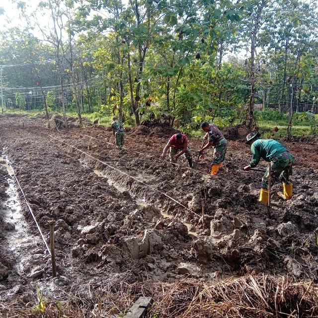 Program Ketahanan Pangan Jajaran Babinsa Koramil 1802-02/Sorong Barat, Tahap Pembuatan Bedeng