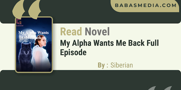 Read My Alpha Wants Me Back Novel By Siberian / Synopsis