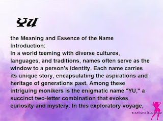 meaning of the name "YU"