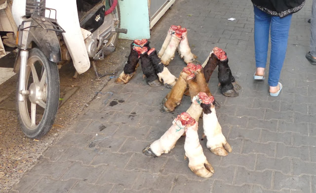 Souk in Marrakesch - Rinderfüße