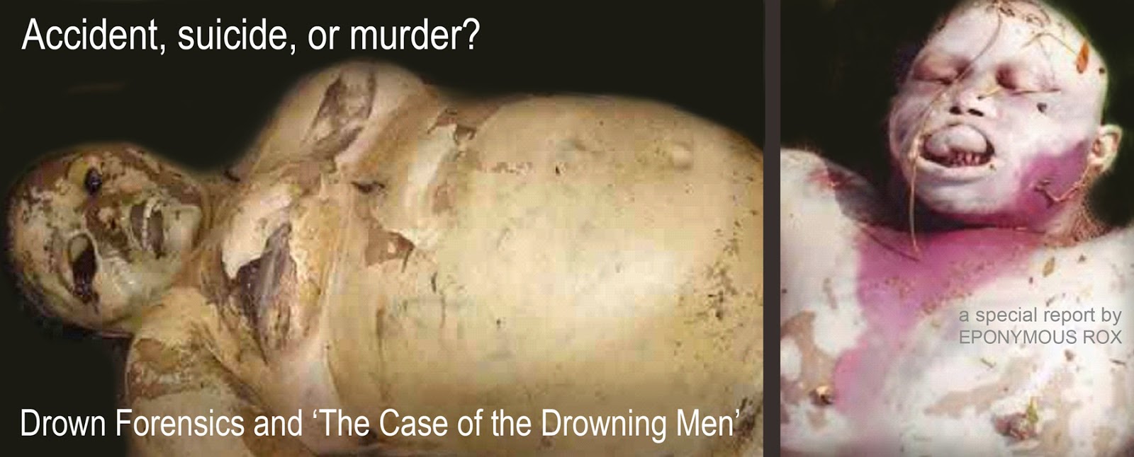 2016's Full-Color Expanded & Revised Edition of THE CASE OF THE DROWNING MEN: Investigating the Smiley Face Murders, by Eponymous Rox