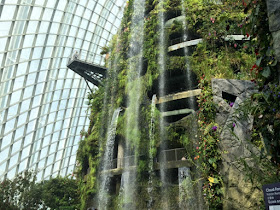 gardens by the bay cloud forest