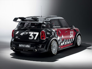 MINI WRC 2011 (2)