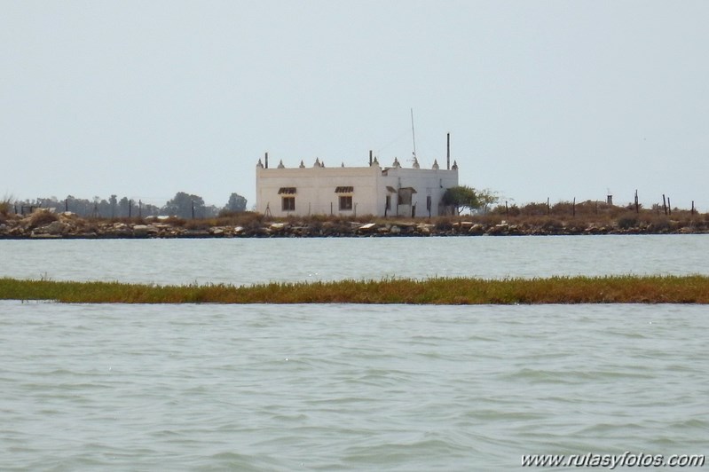 La Magdalena - Caño del Carrascón - Gallineras - Caño de Sancti Petri