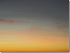 DSCN3091