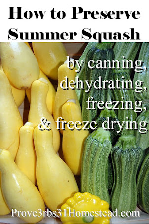 How to preserve summer squash