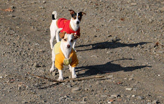 Thelma and Louise waiting for us