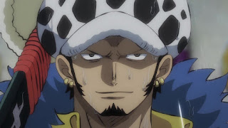 One Piece 第977話 ルフィ ロー キッド集結 ネタバレ Episode 977 One Piece 第977話 ルフィ ロー キッド集結 ネタバレ Episode 977