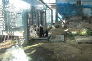 Beijing Zoo