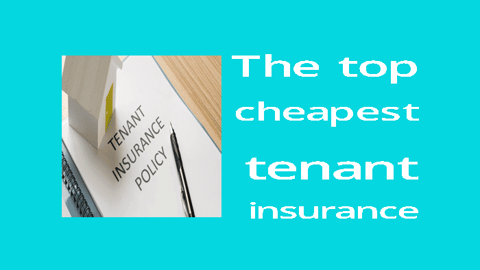 The top cheapest tenant insurance provider company