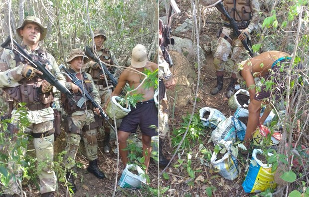 Policiais durante a ação para apreender as drogas (Foto: divulgação/ SSP)