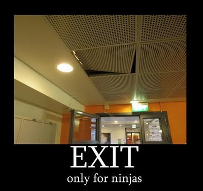 Funny Ninja posters-Ninja demotivators