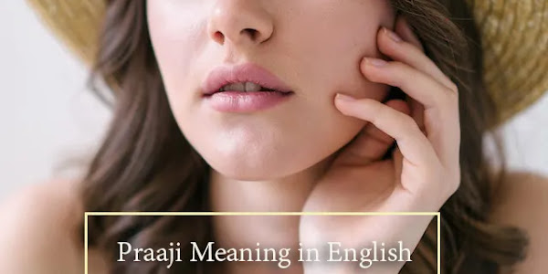 Praaji "ਪਰਾ" Praa Meaning in English Punjabi Word Meaning