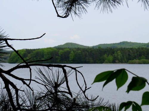 Hodenpyl Dam Pond