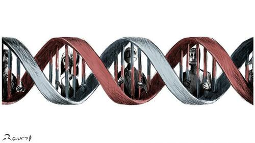 The Genetic Panopticon: We're All Suspects In A DNA Lineup, Waiting To Be Matched With A Crime