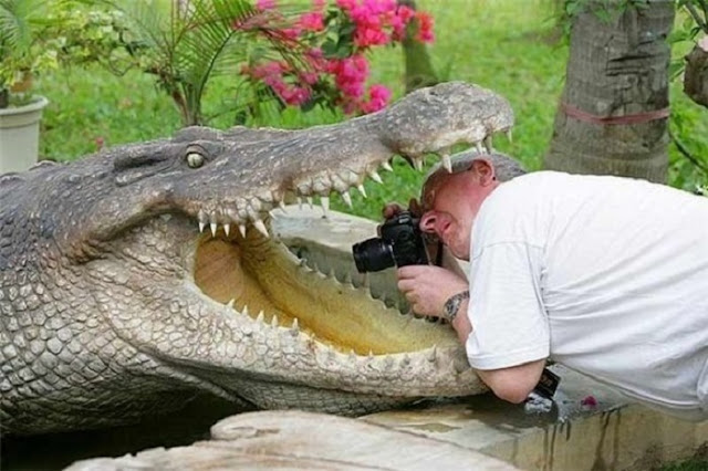 15 Crazy Photographers Doing ANYTHING For The Perfect Shot